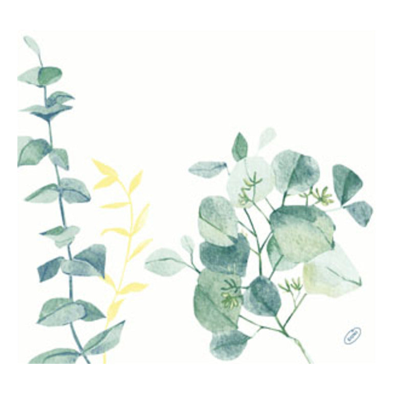 TOVAGLIOLI DUNI SOFT 60pz 40x40 SPIRE (12 pz) COD 202581 DUNI DESIGN